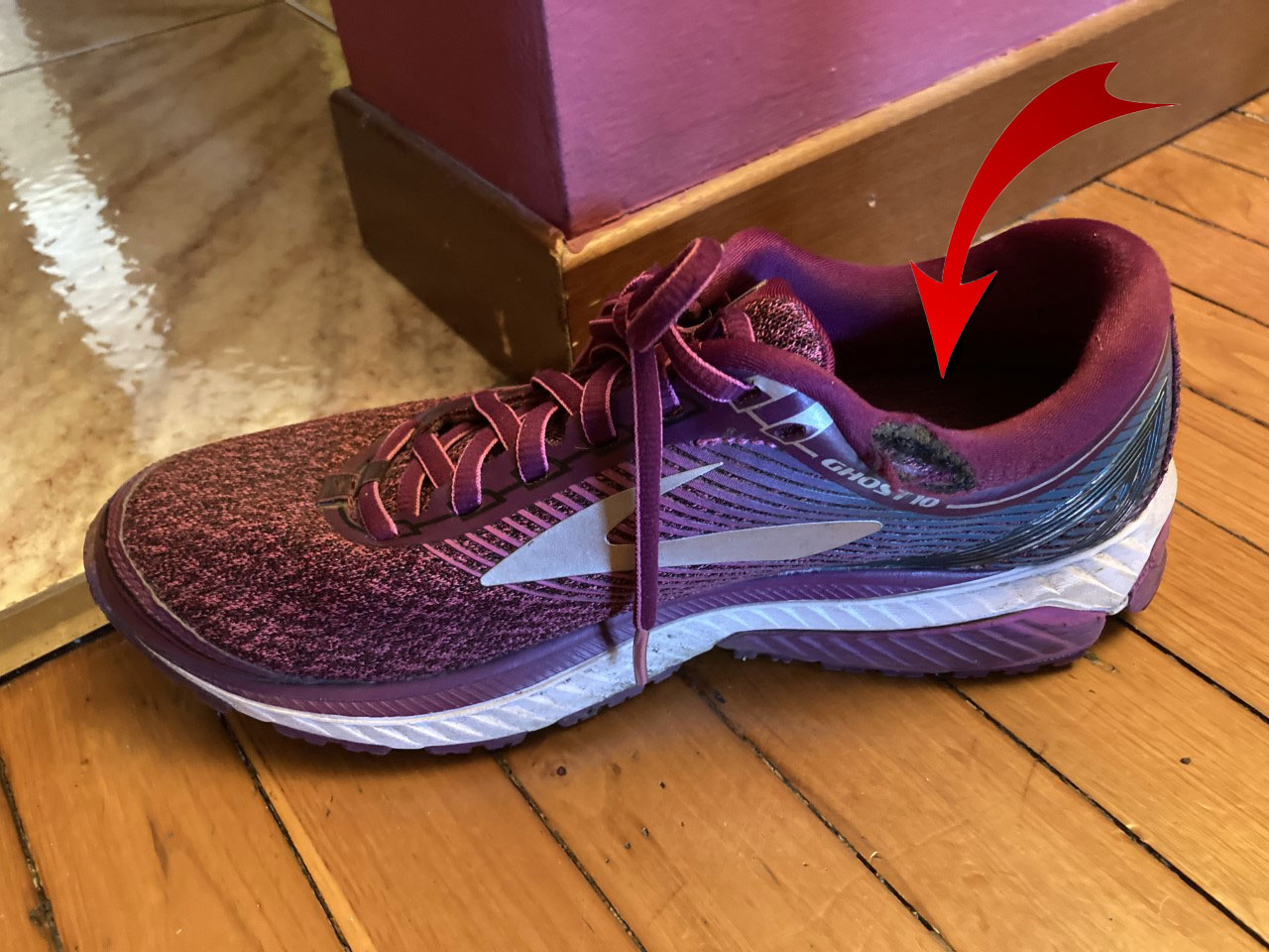 Scarpe da running Brooks mordicchiate da Gilly